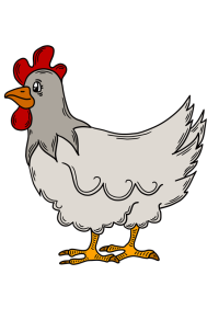Kurczak